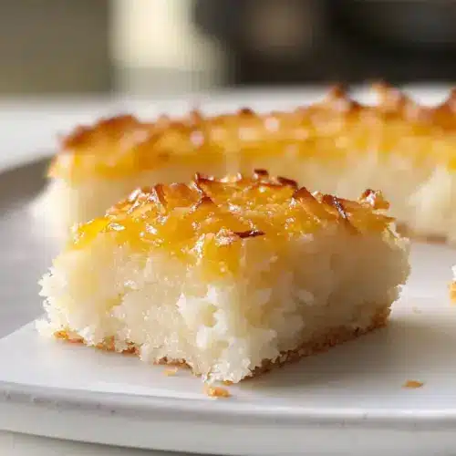 Kleiner Kokoskuchen (Wingko Babat)